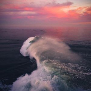 Meet your Posher, Bobbie